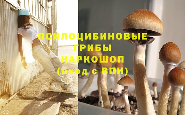 каннабис Балахна