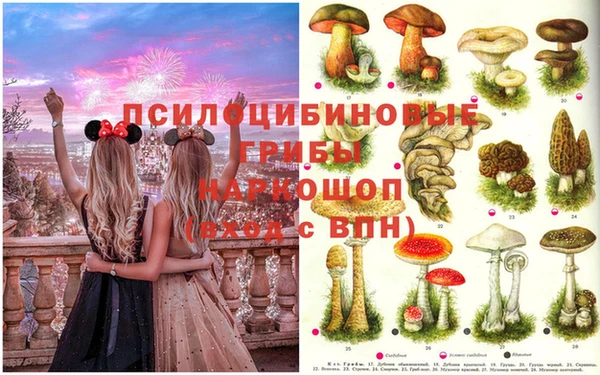 PSILOCYBIN Балабаново