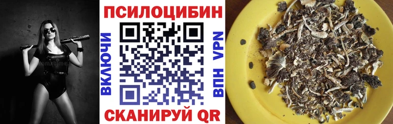 Галлюциногенные грибы мухоморы Бор