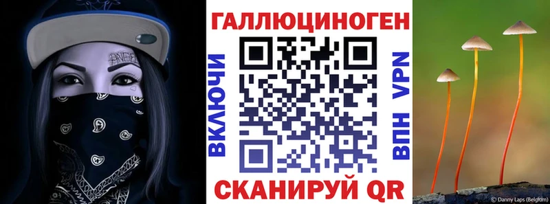 Галлюциногенные грибы Psilocybe  где найти   Бор 